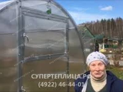 Отзыв 260