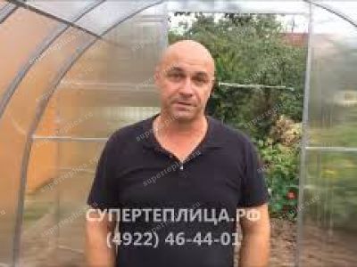 Отзыв 196