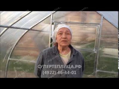 Отзыв 165