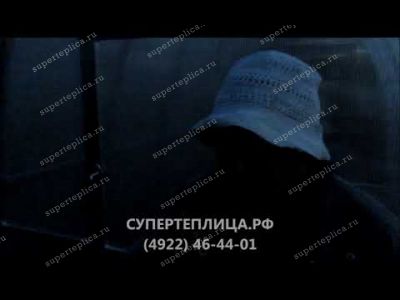 Отзыв 184