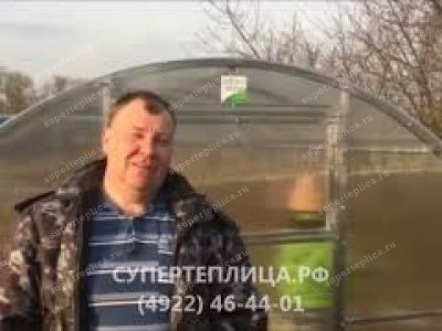 Отзыв 239
