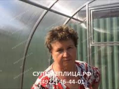 Отзыв 206