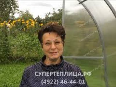 Отзыв 213