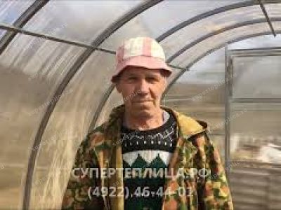 Отзыв 296