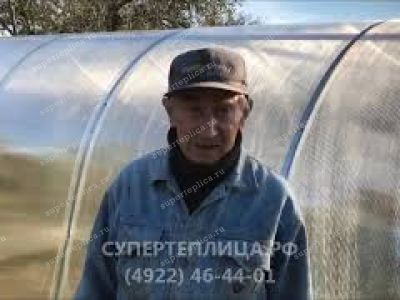 Отзыв 262