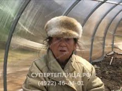Отзыв 317