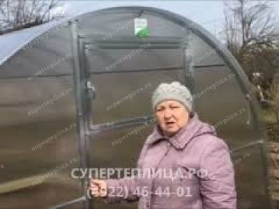 Отзыв 256