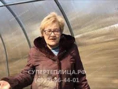 Отзыв 288