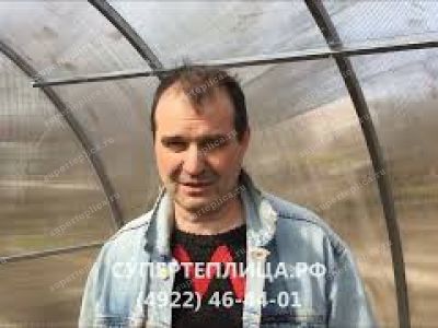 Отзыв 294