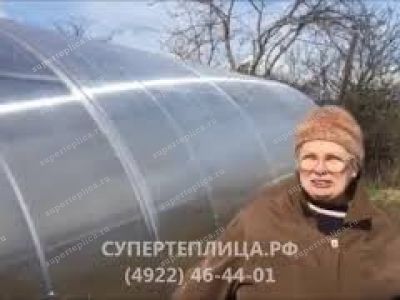 Отзыв 233