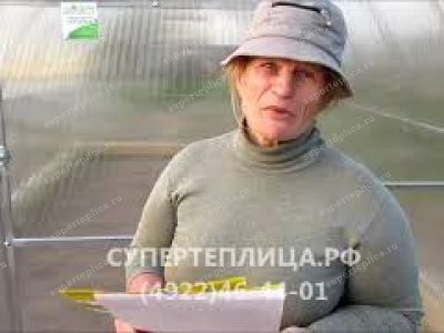 Отзыв 59