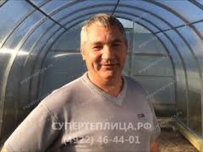 Отзыв 121