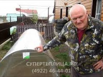 Отзыв 274