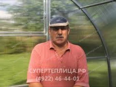 Отзыв 194