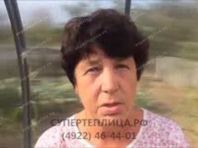 Отзыв 144