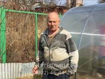 Отзыв 291