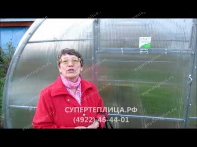 Отзыв 182