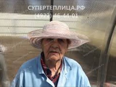 Отзыв 265