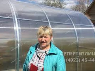 Отзыв 331