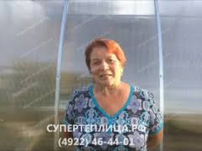 Отзыв 208