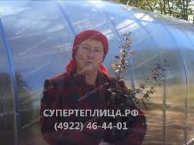 Отзыв 60