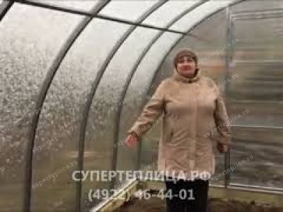 Отзыв 237