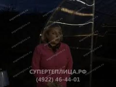 Отзыв 313