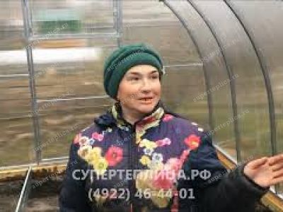 Отзыв 304