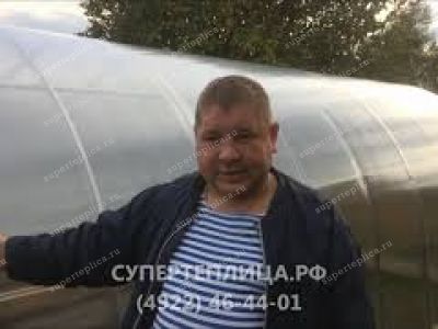 Отзыв 217