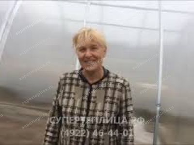 Отзыв 142