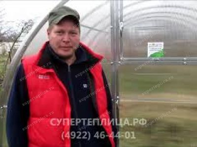 Отзыв 272