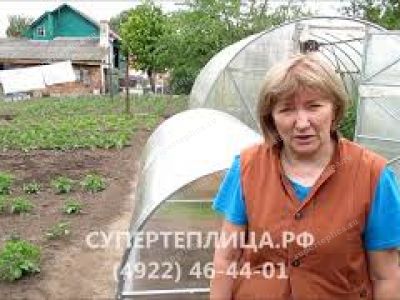 Отзыв 53